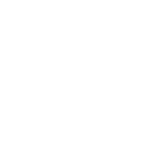 Municipalités amies des aînés
